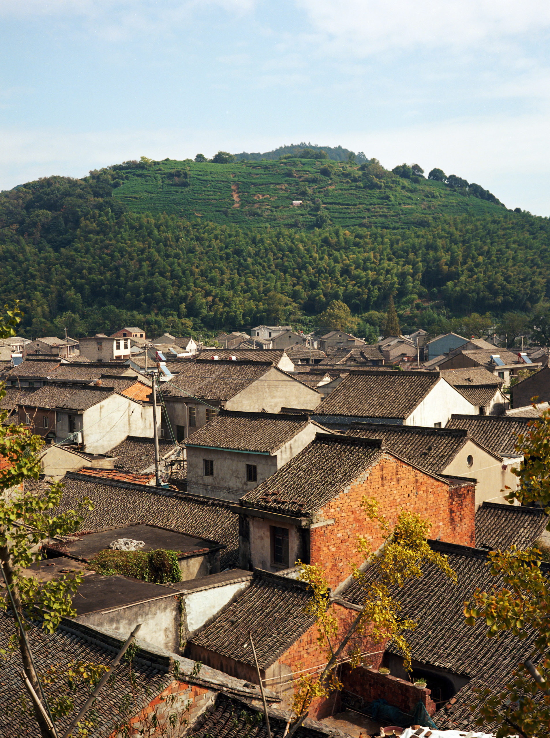 屋顶