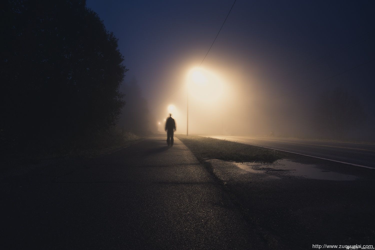 独自生活的力量：我的孤独之旅