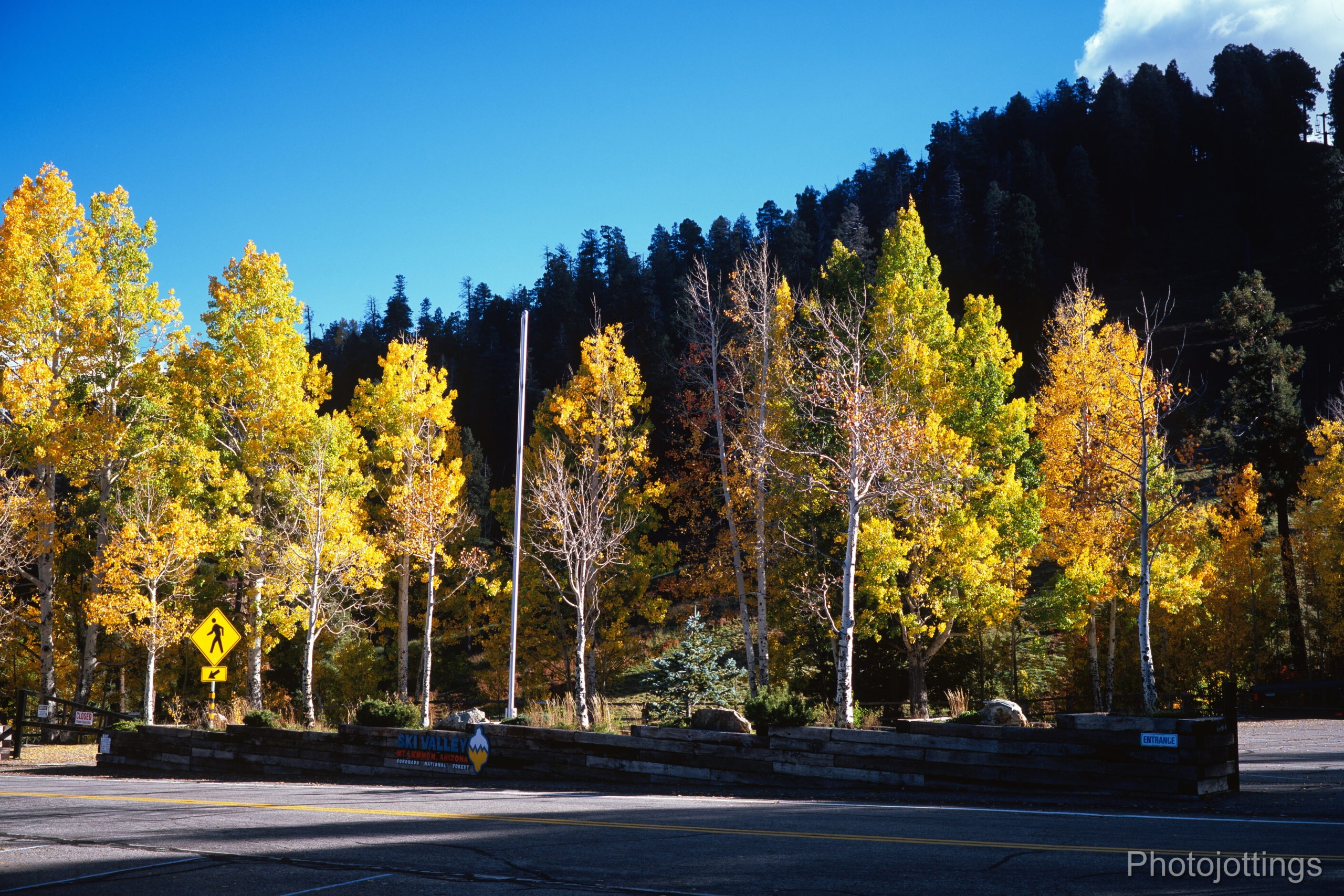 "富士GW690III - 中画幅胶片相机评测与功能介绍"