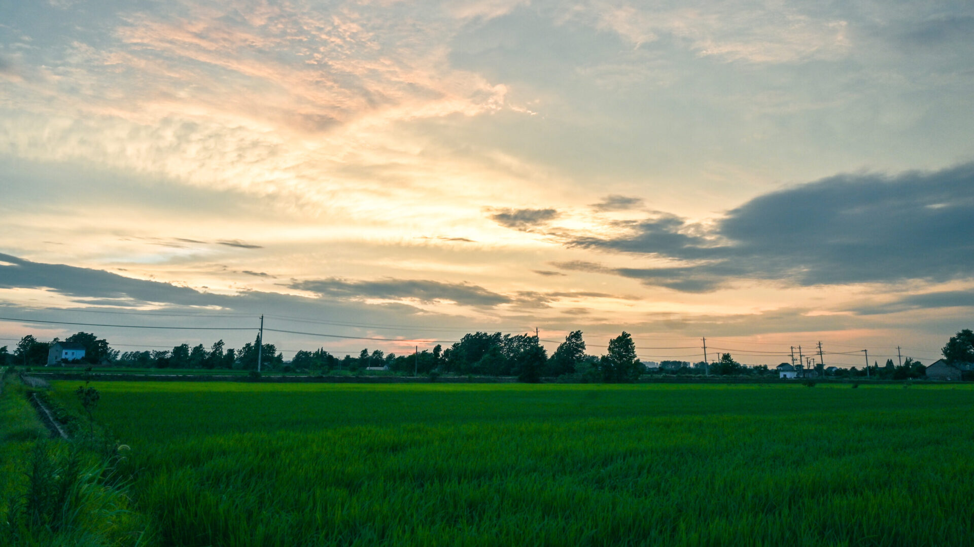 技术日记-老左博客