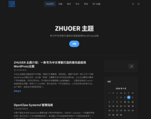 ZHUOER 主题介绍：一款专为中文博客打造的高性能极简WordPress主题